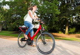 e-Bikes für Pendler