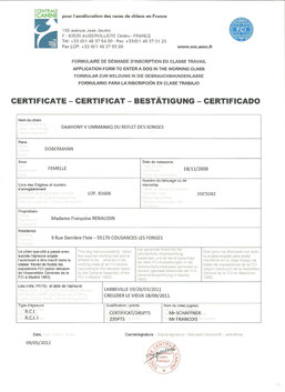 CERTIFICAT RCI & RCI 1 - 2011