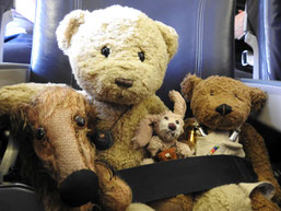 Kasimir, Cäsar, Fredi und Kerl auf ihrem Rückflug von Riga nach Frankfurt