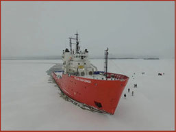 Polar Explorer ICEBREAKER