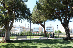 Giardini Arbostella
