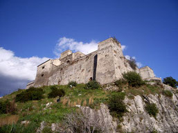 Forte la Carnale