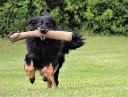 Fotograf: Antje Deinhardt; Paddy bei seiner NZB