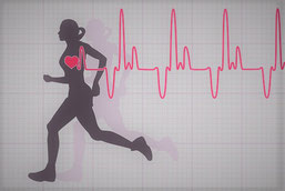 El ejercicio regular adelgaza y disminuye la frecuencia cardíaca. 