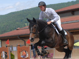 Stall Weber Messen - Sportpferd Ermanita vom Heudorf