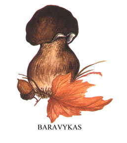 Grybai