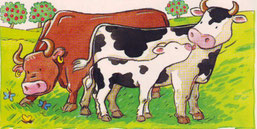 Piešti gyvūnai
