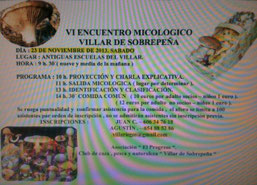 VI encuentro 2013