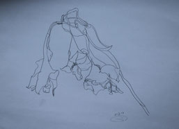 Pencil drawing (1987)
