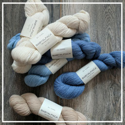 babyalpaca in hellblau, babyblau, natur und creme