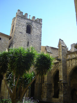 cathédrale St Just et St Pasteur