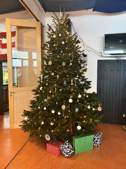 Der Weihnachtsbaum in der - leider völlig menschenleeren - Clubgaststätte