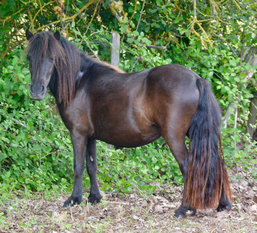 Sa mère, Gaïana Aneyrol