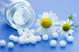 Homöopathie-Naturheilpraxis-Gartner-München-Berg-am-Laim