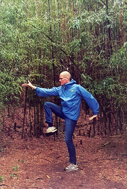 Wolfgang Schwalenberg Baguazhang Bagua Shenwu Internal Arts Hamburg Kampfkunst Neigong Qigong TCMA IMA Innere Kampfkunst