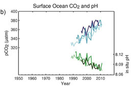 Der CO2 Gehalt der Meere steigt, der pH Wert sinkt. Rahmstorf
