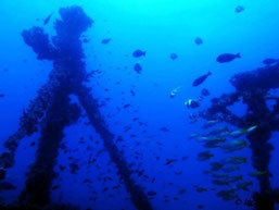 Rio Salinas wreck with Wobbegong Divers, Zavora. Dante Harker
