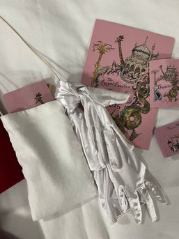 Decorative flatlay image of white reticule, white gloves and Brighton Pavilion Ball ticket and dance card