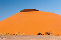 Düne 45 im Sossus Vlei im Namib Naukluft Park