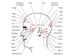 ccess Consciousness, Access Bars Anwender