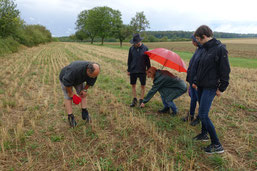 Stoppelacker Berg Foto: NABU / I.Bücker