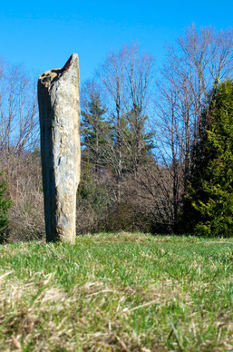 The tall outlying sighting stone if the stone circle at Distant Hill Gardens.