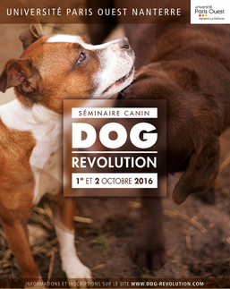 Séminiare canin dog révolution