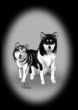 Karikaturen zeichnen lassen. Zwei Hunde.