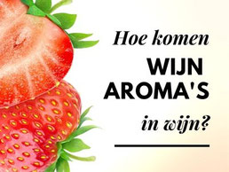 Best gelezen wijnblogs #3 wijnaroma's