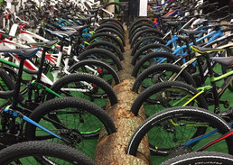 e-motion e-Bike Welt Ravensburg