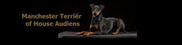 Banner, Manchester Terriers of House Audiens