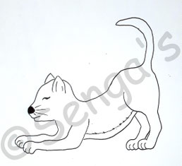 Katzen-Motiv für Blachenprodukte