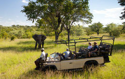 Ulusaba Safari