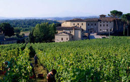 Weingut im Castel Monastero