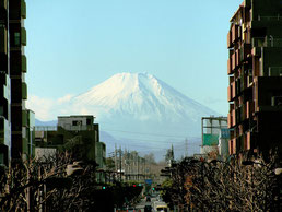 富士見テラスからの富士山