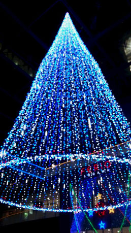 とりあえずクリスマスツリーらしいw