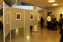 Noch ein Bild einer der Ausstellungen mit mehreren Stellwänden in einem Foyer.