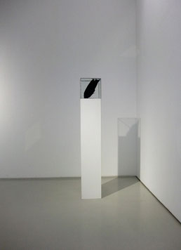 Michael Koch: Tippi, 2012, mixed media