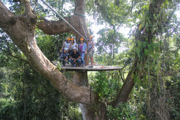 Canopy Vista Arenal