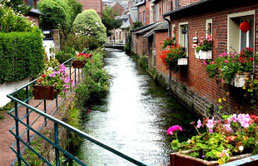 Découverte du village de Veules les Roses