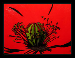 Mohn in Öl 50 x 70