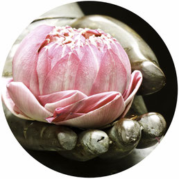 lotus in hand