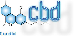 cannabidiodes la substance effestif du cannabis