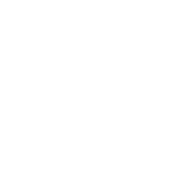 Futsal Minerva