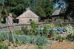 Das Heirloom Seed Project des Museums