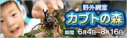 野外網室「カブトの森」オープン！