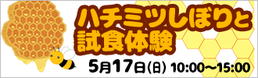 ハチミツしぼりと試食体験