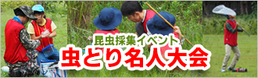 昆虫採集イベント「虫とり名人大会」