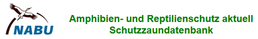 Amphibien-Schutzzaundatenbank