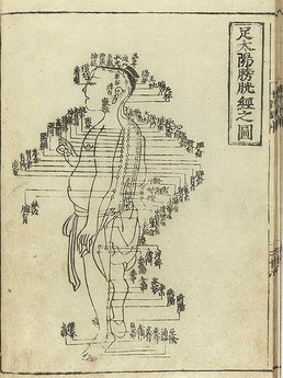 Tuine Massage oud Chinees leer boek
